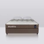 BlueElite - Top Tier Luxury for Exclusive Venues - Image 2