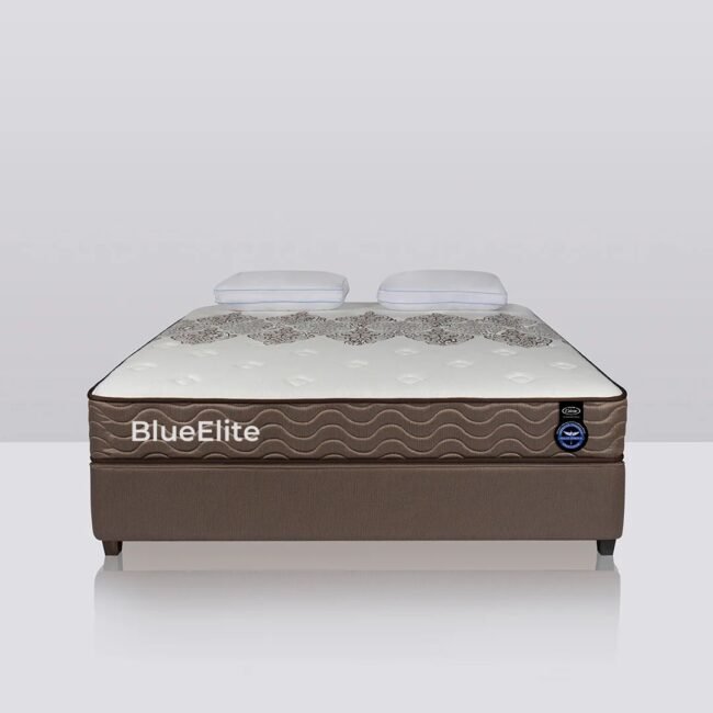 BlueElite - Top Tier Luxury for Exclusive Venues - Image 2
