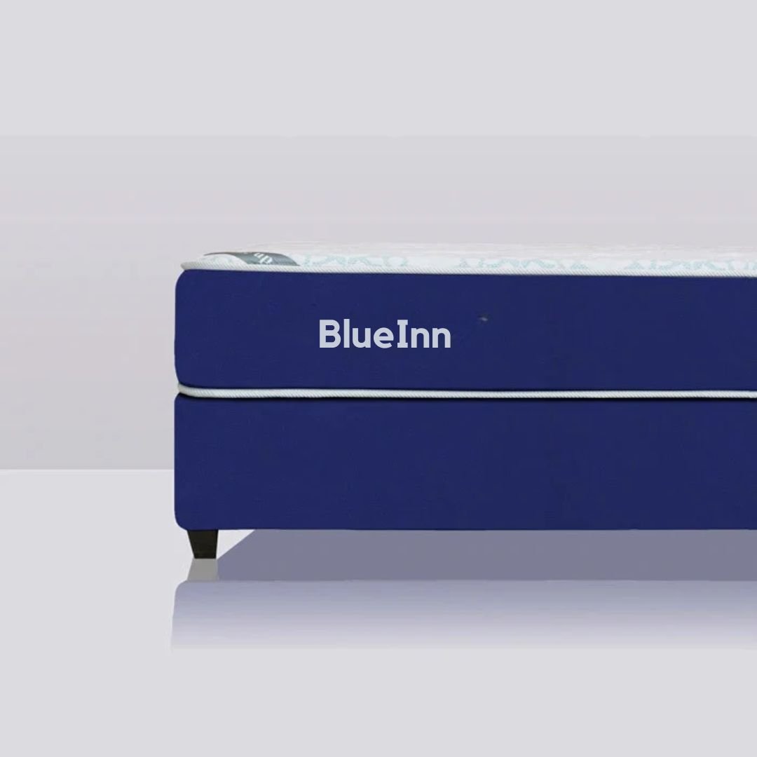 BlueInn – Affordable Comfort for Budget Conscious Hotels