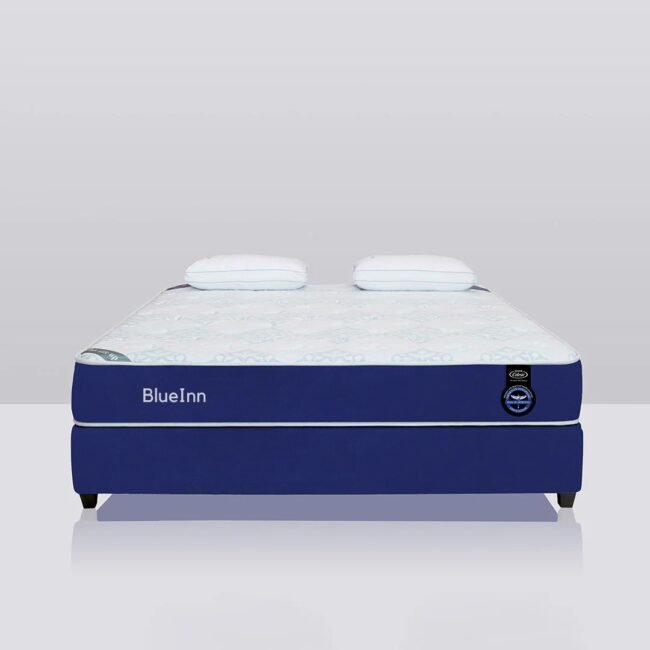 BlueInn - Affordable Comfort for Budget Conscious Hotels - Image 2