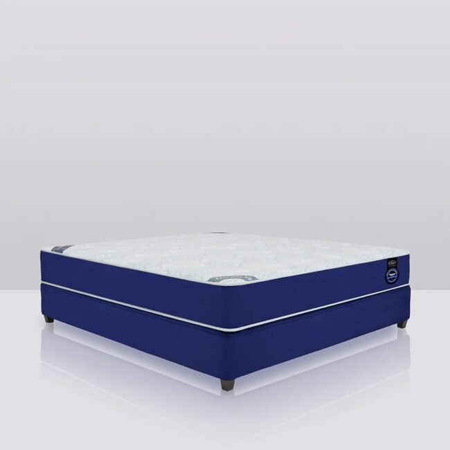 BlueInn - Affordable Comfort for Budget Conscious Hotels - Image 3