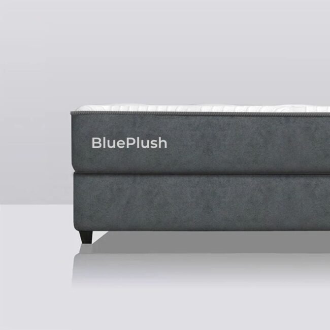 BluePlush - Soft and Luxurious Comfort for Hospitality