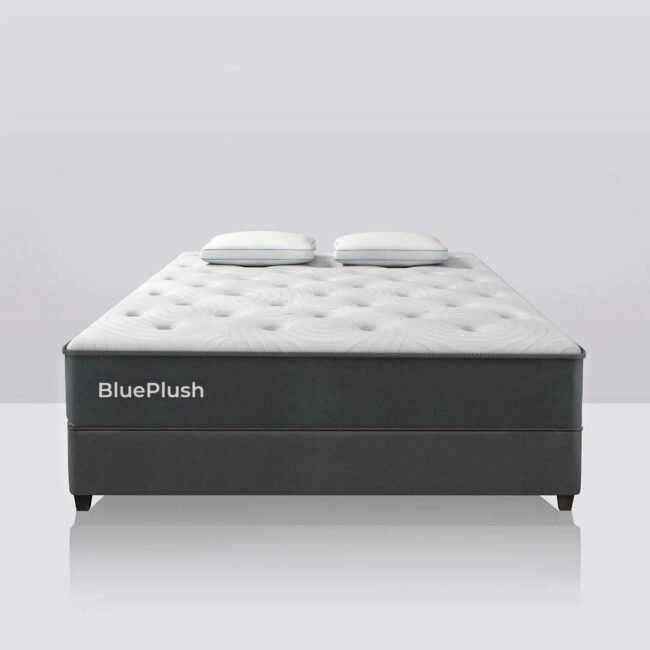 BluePlush - Soft and Luxurious Comfort for Hospitality - Image 2