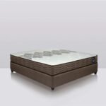 BlueElite - Top Tier Luxury for Exclusive Venues - Image 3