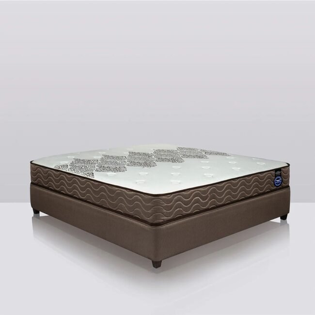 BlueElite - Top Tier Luxury for Exclusive Venues - Image 3